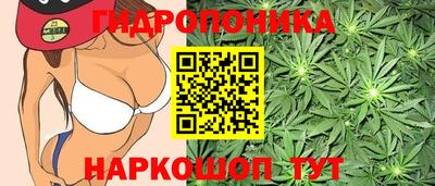 ECSTASY Ставрополь