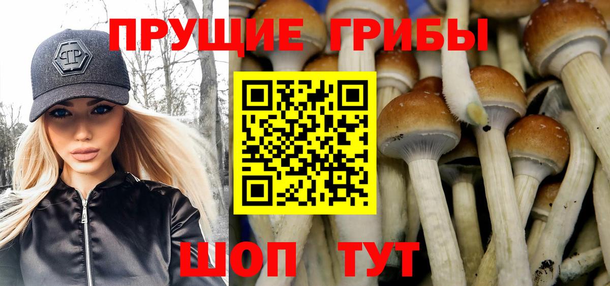 Галлюциногенные грибы MAGIC MUSHROOMS  магазин продажи   Вход с VPN  Осинники  Псилоцибиновые грибы GOLDEN TEACHER 