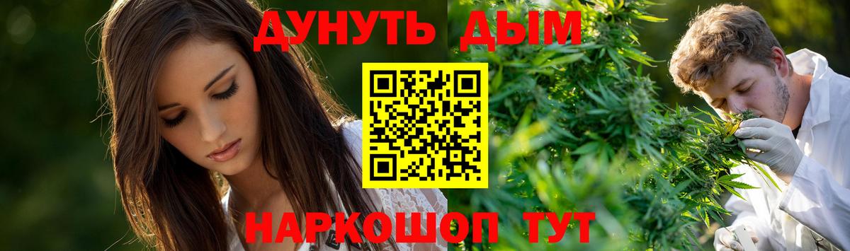 Бошки Шишки план  Шишки марихуана AK-47  Канабис конопля  Бошки Шишки SATIVA & INDICA  Осинники  Вход с VPN 